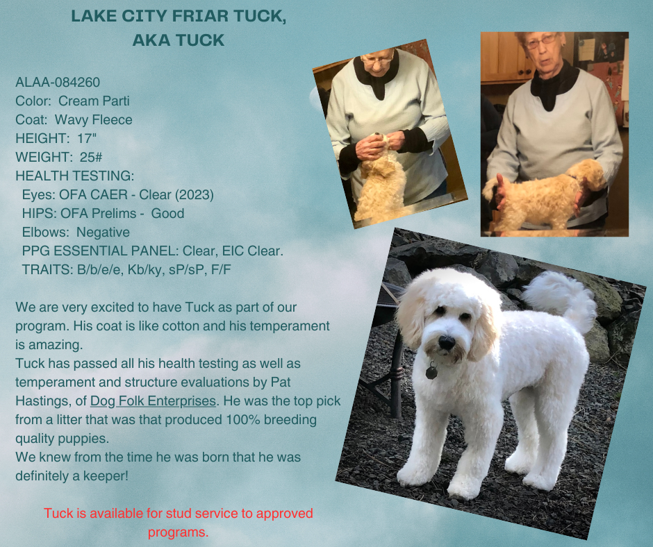 Lake City Friar Tuck Stud Information Sheet