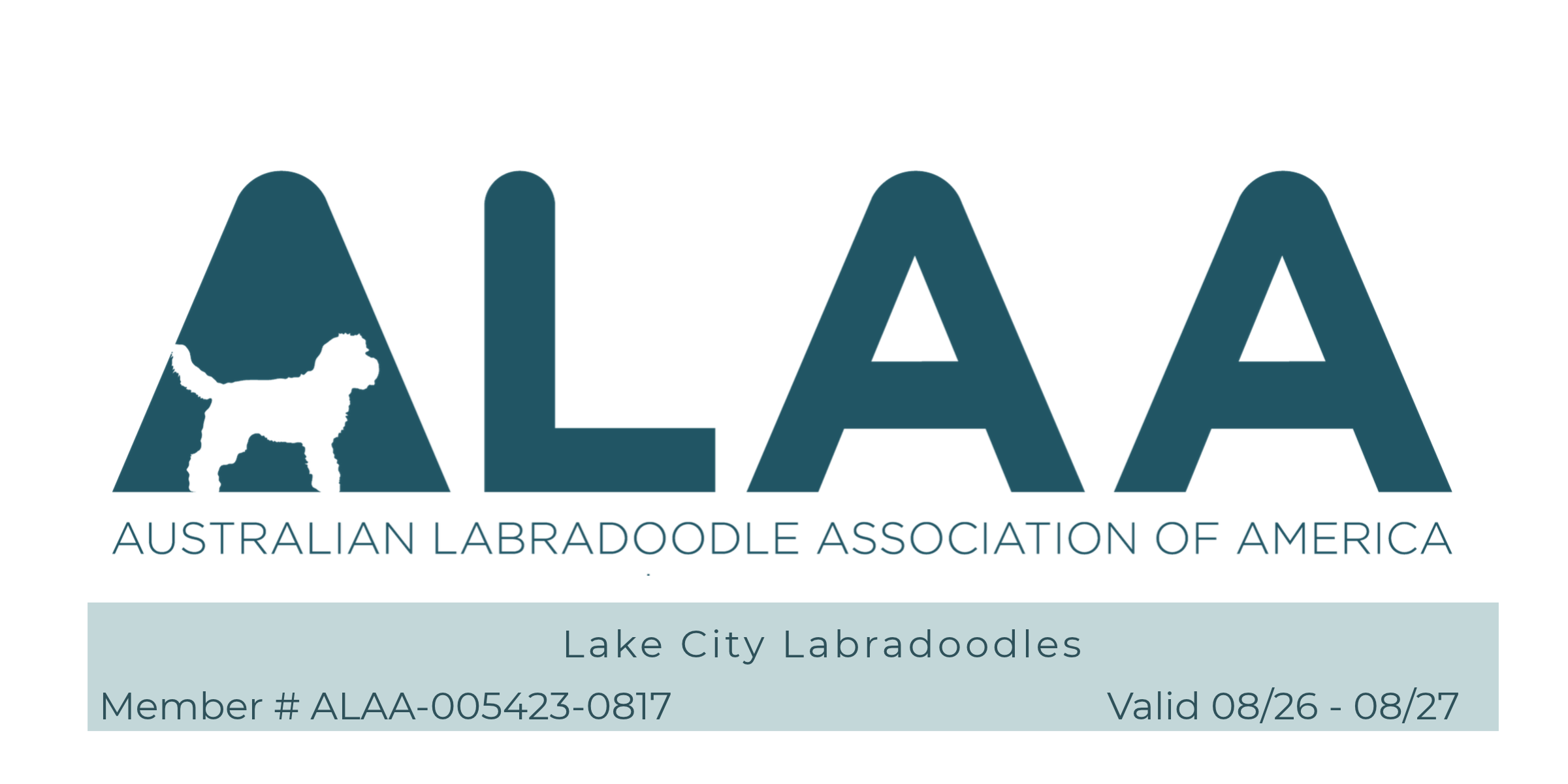 Australian Labradoodle Puppies for sale in United States